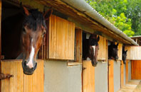 free Dalneigh stable construction quotes